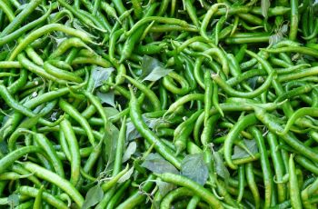 Organic Chilli Green (हरी मिर्च) 100g